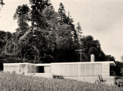 preciousandfregilethings:Single family house at LenaustraßeTuttlingen, Freiburg, Baden-Württemberg, Germany; 1959