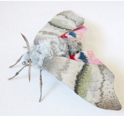 fer1972:The Textile Moths of Yumi Okita