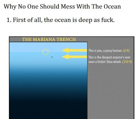 livelifegoldennn:  leedlethebeedle:  the-sea-watches-neptune:  ohanadoesntapplytoadam: