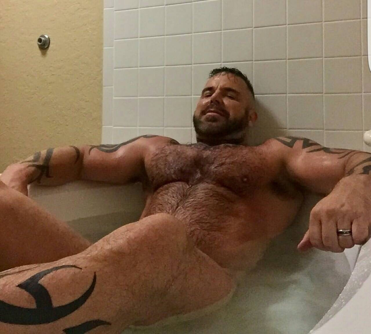 Bears4me37601