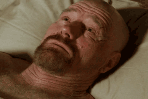 dailybreakingbad:  This gif reduces me to laughter everytime.http://dailybreakingbad.tumblr.com/