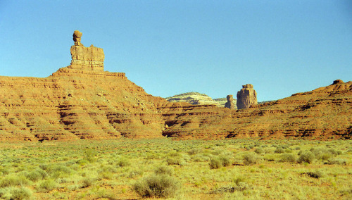 geologicaltravels:1999: Erosion of the Cedar Mesa Sandstone (Permian) gave Utah the Valley Of The Go