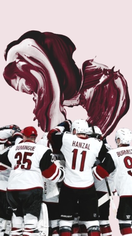 Arizona Coyotes -requested by @chychrvn