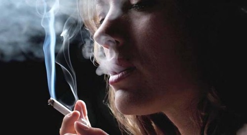 thesmoke-easy:  Natalie Zea 