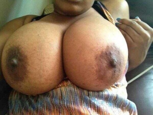 goldieloc:  shitfuckcuntwhore:  Coco nips :)   The plumpness!!