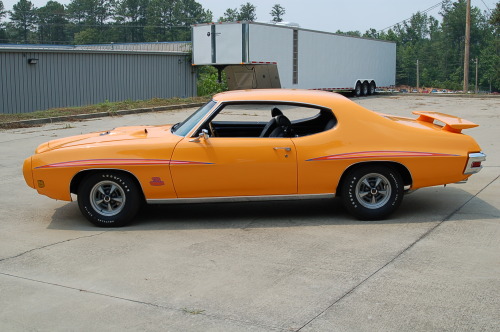 officialalphamale: bigboppa01: orbit orange gto My dream car, THE JUDGE