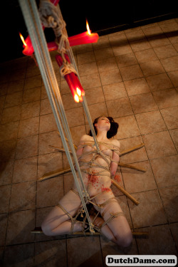 bdsmgeek:  dutch-dame:  &ldquo;Ryo kakyaku heiretsu hashira ushirodaki shibari&rdquo; with DutchDame, bondage by RopeMarks and photo’s by FetLight. Now featured on http://www.dutchdame.com/  Wax!