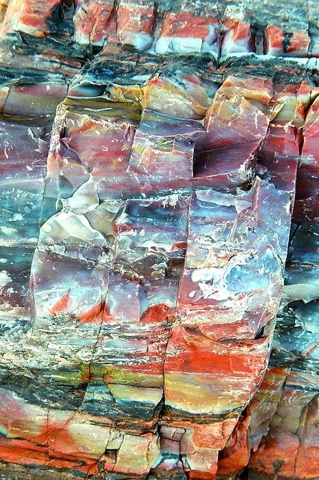 moonshininq:  ggeology:  Petrified Forest National Park // Arizona   X