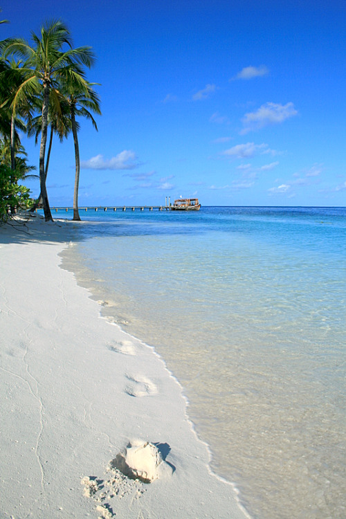 tropicaldestinations:  White sand beach (by Mohamed Shareef) - Tropical destinations  xx