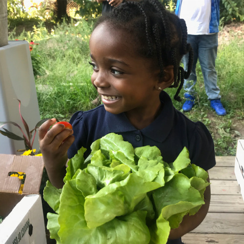 If only organic food gave every child this reaction❤️ Are you coming to the #OrganicFoodforthePeople