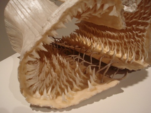 myampgoesto11:Sarah Garzoni: Breaching, 201019th century corset, 1000 sharks teeth, plaster, wax