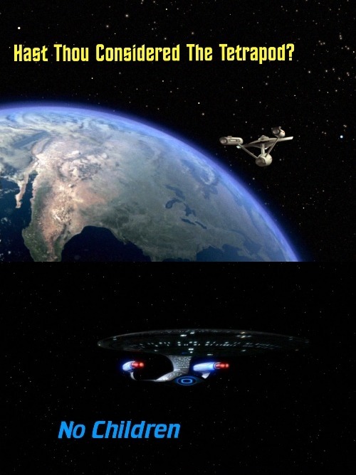 Star Trek opening shots for TOS and TNG with the titles "Has Thou Considered the Tetrapod?" and"No Children "respectively 