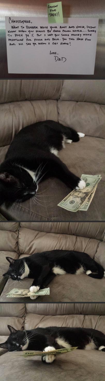 catsbeaversandducks:  Via Pleated-Jeans.com