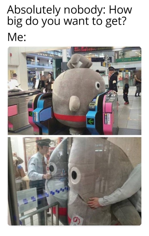 stuffedbellymemes: