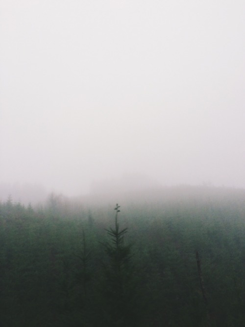 marcphun:  Christmas Is Coming | Marc Phun