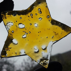 sporaqic:  Dabstar Oil #dabstars #dabstar #dablife #710 #realmeds #shatter #bho #dabs #dab #dabstagram #dabsrus by weedstache via Flickr