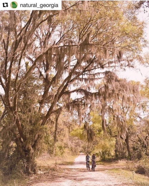 Much love to @natural_georgia for the feature! with @get_repost ・・・ Just south of Savannah is a grea