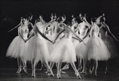 juotin: ABT’s Swan Lake by Paul B. Goode