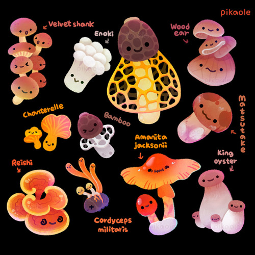 Mushroom