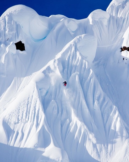 Nicolas Müller-  Gnubian style #5050#bofa #freezedriedhempnuts @andrew_miller .