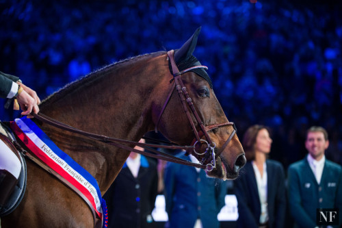 transperceneige: Paris Masters 2016 | © Noelle Floyd Retirement ceremony for the 14yo selle fr