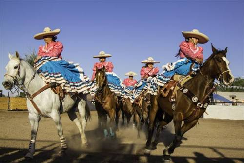 sartorialadventure:Some kickass Mexicanas participating in una charreada (click to enlarge)The charr