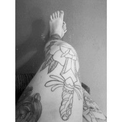 To usando tanto calça jeans q tinha até esquecido das tattoos :c #bomdia #traditionaltattoo #oldschool #tattooedlegs #kneetattoo #tat2