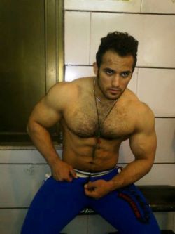 hairyturkishgaymachos:  Arab male with huge