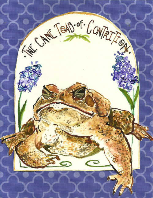 I was designing some apology cards, and I just had to use Cane Toads for their grumpy old man faces.