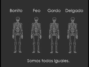 Somos todos iguales. | via Facebook en We Heart It. http://weheartit.com/entry/77485400/via/krlitha_pinones