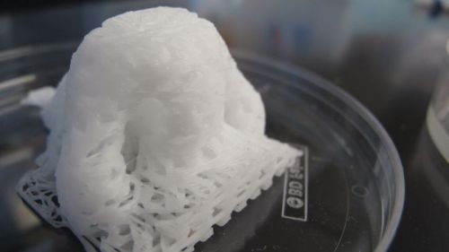 marielikestodraw:  shinywen:  scienceyoucanlove:  3D printing with stem cells could lead to printable organs A potentially breakthrough 3D-printing process using human stem cells could be the precursor to printing organs from a patient’s own cells.