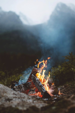 banshy:  Hintersee Zauberwald // Asyraf 