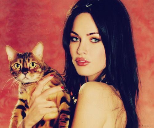 Megan Fox and her cat ( bangal ) Rosh