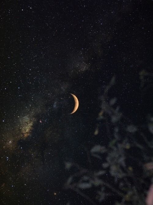 lovequotesrus:  Everything you love is here 