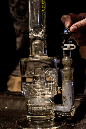 rogueganja: