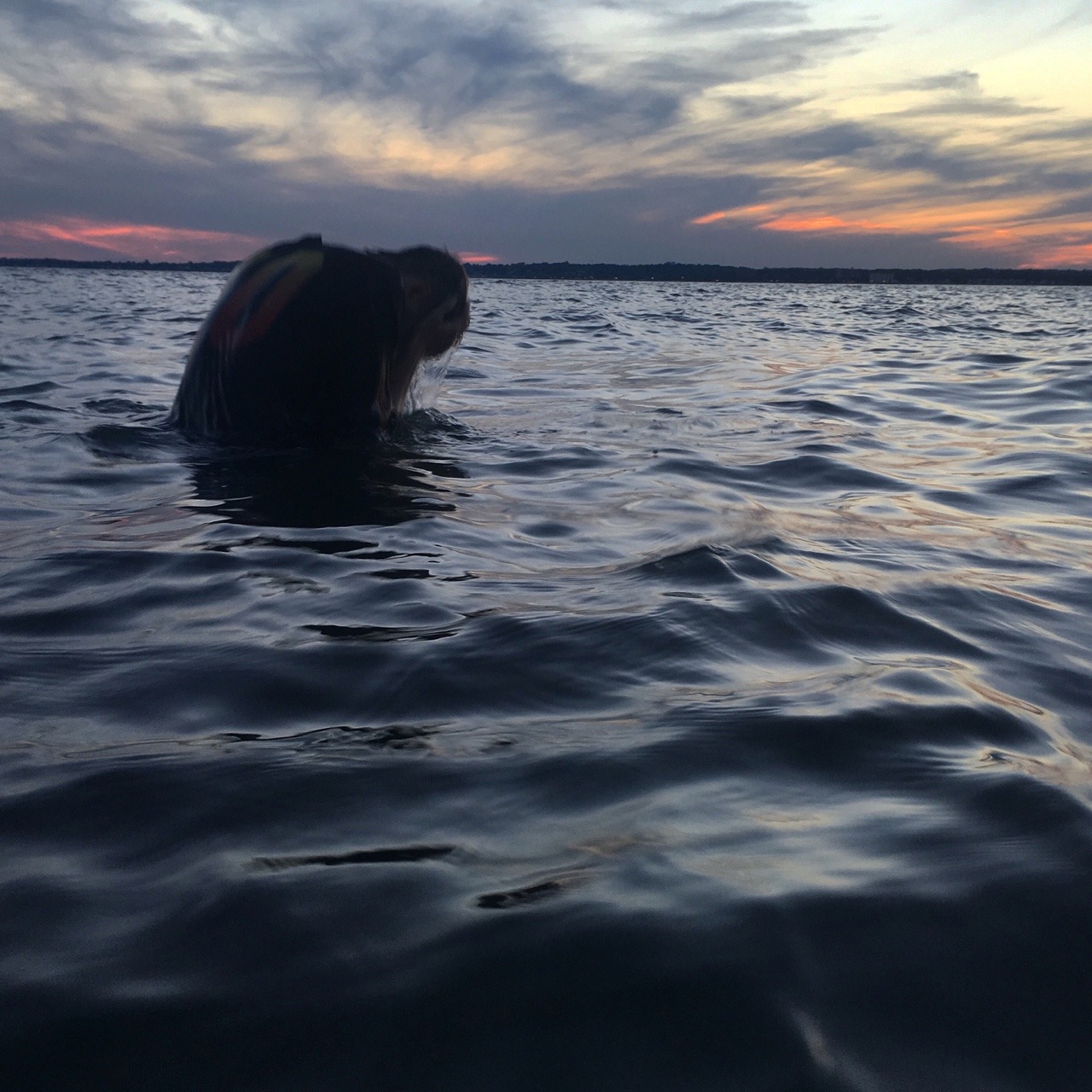 joshmuratori:  currently