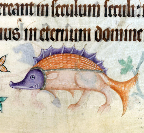 walking sturgeonLuttrell Psalter, England ca. 1325-1340British Library, Add 42130, fol. 167r