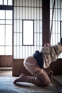 japanesebdsmofficial:  Shibari Naka Akira Photo Erisa Sato