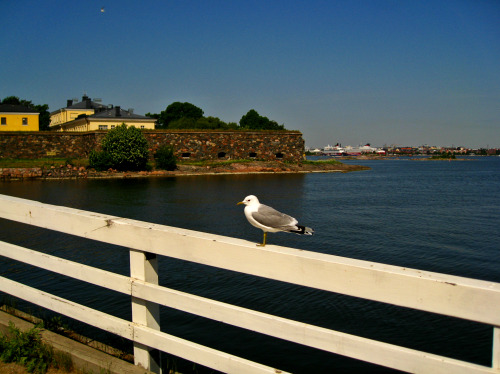 #HELSINKI IMPRESSIONSTrip to Suomenlinna.