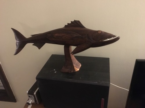 bunjywunjy: shiftythrifting:  Meet my new son Macaroni   He’s a Muskie fish, which is a kind of river fish that has big teeth don’t google it trust me it’s haunting. I didn’t realize when i got him that muskies are also my boyfriends alma mater’s