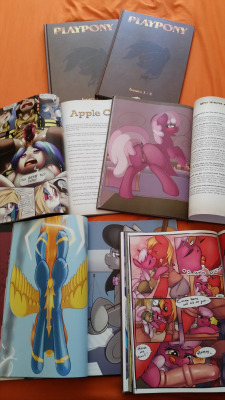 Hey everybody!Do y'all remember the Playpony project? For the third issue we did a special hardcover collector’s edition that includes the first 3 issues combined in a stunning 116 page display of smutty pony pinups, comics and clopfics from the following