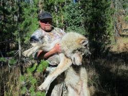 angryvegan:  animalcruelty-notok:  Scumbag Stan Castagno lured a mother wolf out of the protection of Yellowstone Park with a recording of a wolf pup in distress. She was shot and killed for following her instincts to rescue a pup. Send him a Coward
