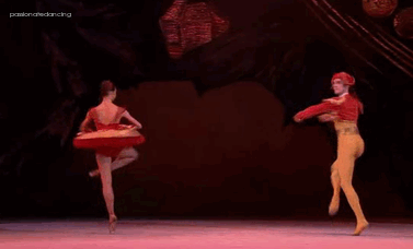 passionatedancing:   Nutcracker in a Nutshell [[click the gifs for captions]]  Bolshoi’s