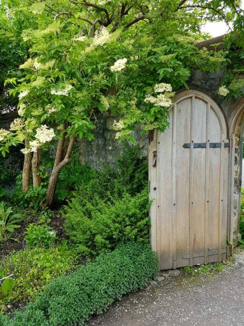 fruityandbelle:The Physic Garden, Cowbridge, South Wales