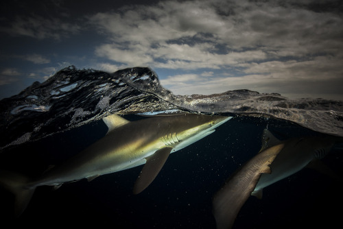nevver:  Below the surface, Matty Smith