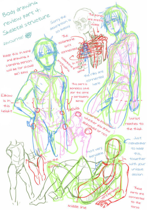 losthitsu:Body drawing review - translated version.Just for future drawing reference, maybe?