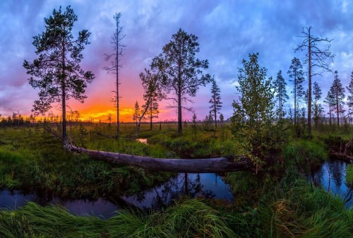 Sestra river, Leningrad oblast