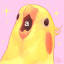 birbliothecaire