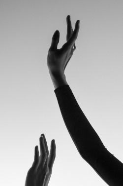 thearcticmind:  Ballet Hands 