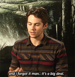 dynobrien:  i have to ask you about your last tweet..about your pillow? 